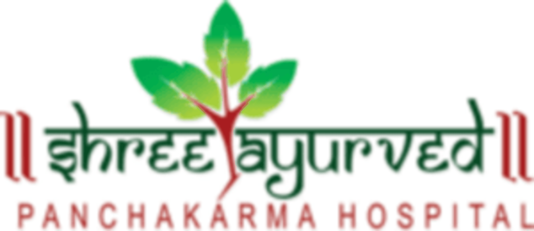 Shree Ayurveda And Panchakarma Hospital Pune